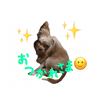 どこでもモア〜1（個別スタンプ：3）