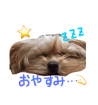 どこでもモア〜1（個別スタンプ：4）