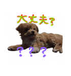 どこでもモア〜1（個別スタンプ：5）