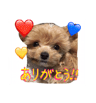 どこでもモア〜1（個別スタンプ：6）
