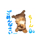 どこでもモア〜1（個別スタンプ：7）