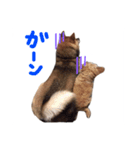 どこでもモア〜1（個別スタンプ：9）