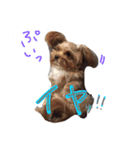 どこでもモア〜1（個別スタンプ：13）