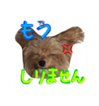 どこでもモア〜1（個別スタンプ：14）