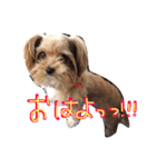 どこでもモア〜1（個別スタンプ：16）