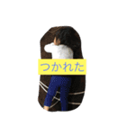 かゆみちゃん2（個別スタンプ：5）