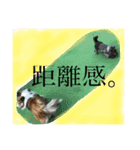 うるちょふ（個別スタンプ：2）