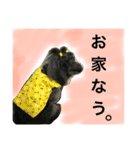 うるちょふ（個別スタンプ：3）