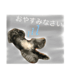 うるちょふ（個別スタンプ：6）