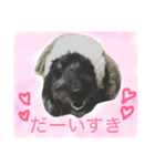 うるちょふ（個別スタンプ：7）