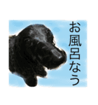 うるちょふ（個別スタンプ：8）
