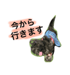 うるちょふ（個別スタンプ：13）