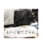 うるちょふ（個別スタンプ：15）