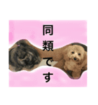 うるちょふ（個別スタンプ：16）