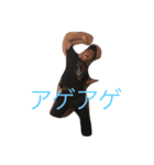 愉快な仲間です（個別スタンプ：3）