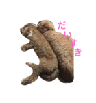 我が家の犬遊び（個別スタンプ：3）
