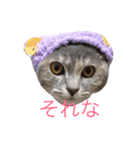 ねこの菜乃花さん（個別スタンプ：9）