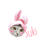 ねこの菜乃花さん（個別スタンプ：10）