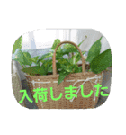 エステINポポ（個別スタンプ：13）