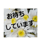エステINポポ（個別スタンプ：22）