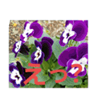 エステINポポ（個別スタンプ：24）
