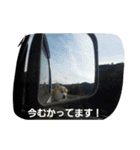 うちのトロ（個別スタンプ：10）