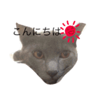 あしゅくりせばかぼ♡（個別スタンプ：2）