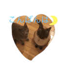 あしゅくりせばかぼ♡（個別スタンプ：3）