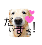 あしゅくりせばかぼ♡（個別スタンプ：5）