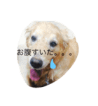 あしゅくりせばかぼ♡（個別スタンプ：8）