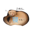 あしゅくりせばかぼ♡（個別スタンプ：14）