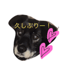 あしゅくりせばかぼ♡（個別スタンプ：27）