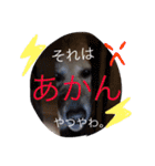 あしゅくりせばかぼ♡（個別スタンプ：28）