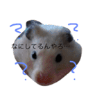 あしゅくりせばかぼ♡（個別スタンプ：31）