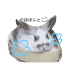 あしゅくりせばかぼ♡（個別スタンプ：34）