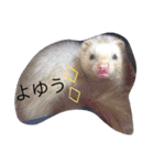 あしゅくりせばかぼ♡（個別スタンプ：37）