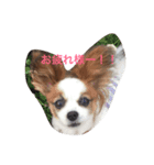 華子りんのスタンプ1212（個別スタンプ：4）