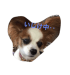 華子りんのスタンプ1212（個別スタンプ：5）
