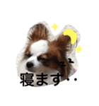 華子りんのスタンプ1212（個別スタンプ：8）
