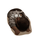 円香のスタンプ（個別スタンプ：13）