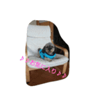 私の宝物2（個別スタンプ：21）