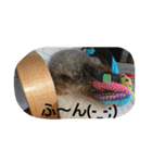 私の宝物2（個別スタンプ：24）