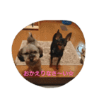 私の宝物2（個別スタンプ：26）