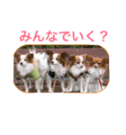 ひめ＆ねね（個別スタンプ：1）