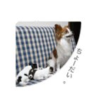 ひめ＆ねね（個別スタンプ：2）