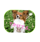 ひめ＆ねね（個別スタンプ：4）