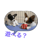 ひめ＆ねね（個別スタンプ：7）