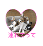 ひめ＆ねね（個別スタンプ：8）