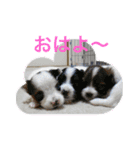 ひめ＆ねね（個別スタンプ：10）