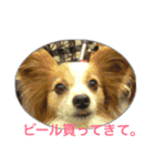ひめ＆ねね（個別スタンプ：11）